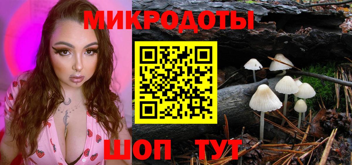 Чебоксары  Псилоцибиновые грибы Cubensis  Вход с VPN 